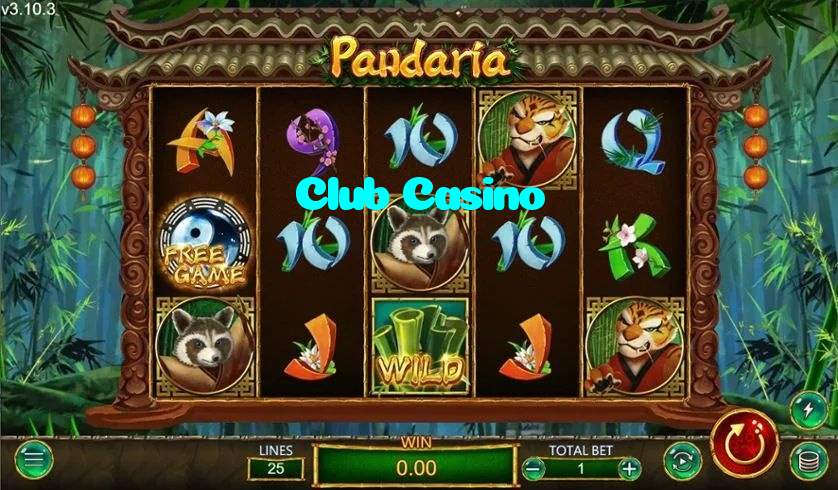 available types of Club Casino bet including pre-match live express and system bets